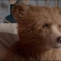 Paddington2-02834.jpg