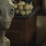 Paul-2297.jpg