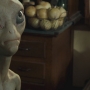 Paul-2298.jpg