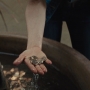 PercyJackson1435.jpg