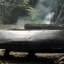 PotC1_0812.jpg