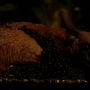 PotC1_0978.jpg