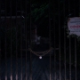 Filename=PsyMov-00877.jpg
Filesize=172KiB
Dimensions=1920x1080
Date added=Oct 23, 2021 PsyMov-00877.jpg