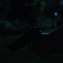Filename=PsyMov-00930.jpg
Filesize=55KiB
Dimensions=1920x1080
Date added=Oct 23, 2021 PsyMov-00930.jpg