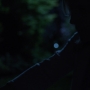 Filename=PsyMov-00931.jpg
Filesize=57KiB
Dimensions=1920x1080
Date added=Oct 23, 2021 PsyMov-00931.jpg