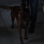 Filename=PsyMov-00957.jpg
Filesize=152KiB
Dimensions=1920x1080
Date added=Oct 23, 2021 PsyMov-00957.jpg