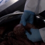 Filename=PsyMov-01237.jpg
Filesize=124KiB
Dimensions=1920x1080
Date added=Oct 23, 2021 PsyMov-01237.jpg