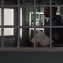 Filename=PsyMov-01284.jpg
Filesize=193KiB
Dimensions=1920x1080
Date added=Oct 23, 2021 PsyMov-01284.jpg