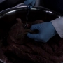 Filename=PsyMov-01285.jpg
Filesize=132KiB
Dimensions=1920x1080
Date added=Oct 23, 2021 PsyMov-01285.jpg