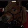 Filename=PsyMov-01817.jpg
Filesize=111KiB
Dimensions=1920x1080
Date added=Oct 23, 2021 PsyMov-01817.jpg