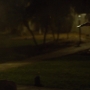 Filename=1988.jpg
Filesize=132KiB
Dimensions=1920x800
Date added=Oct 23, 2021 1988.jpg