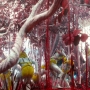 ST_0389.jpg
