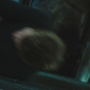 ST_2296.jpg