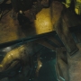ST_2303.jpg