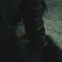 ST_2313.jpg