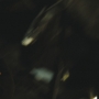 ST_2533.jpg