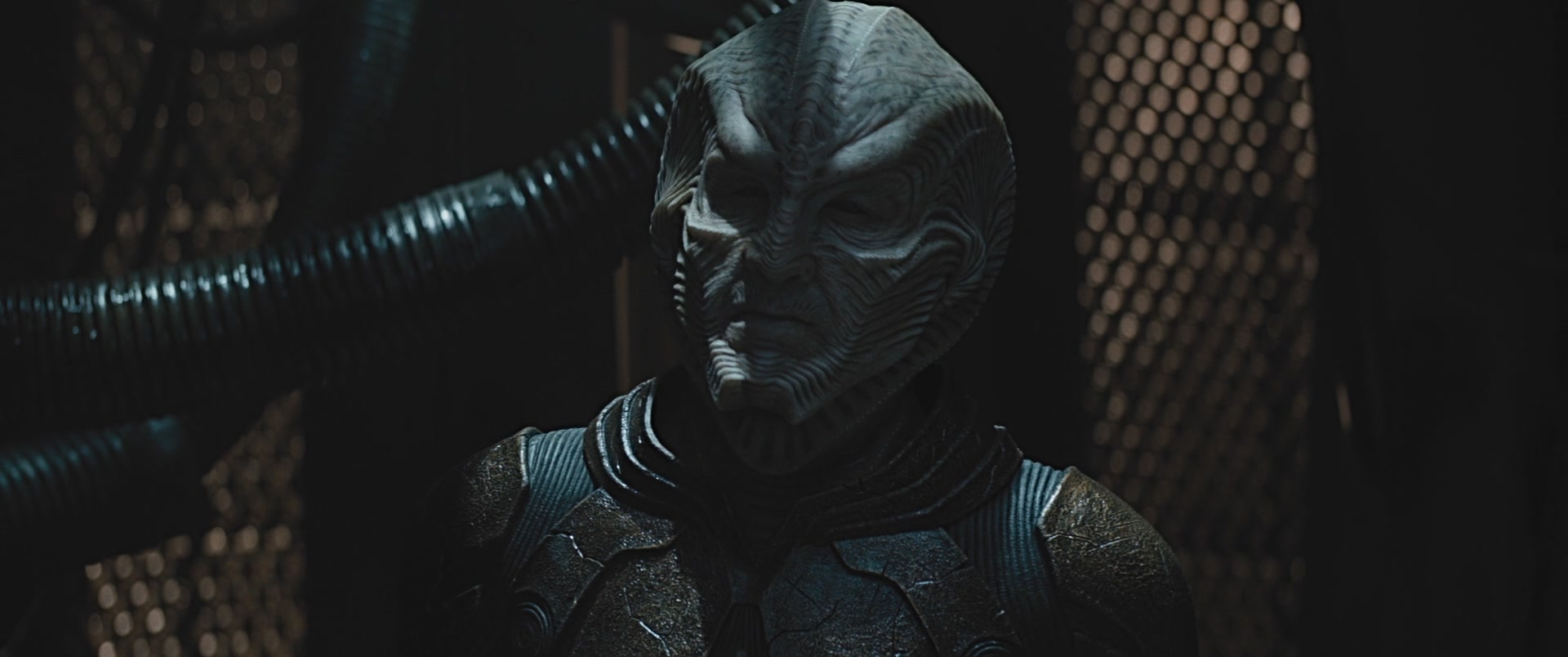 STB-01566.jpg