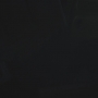 STB-01453.jpg