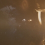 STB-01497.jpg