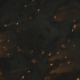 STB-01533.jpg