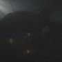 STB-01534.jpg