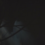 STB-01538.jpg