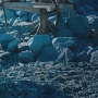 STB-02215.jpg