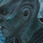 STB-02246.jpg