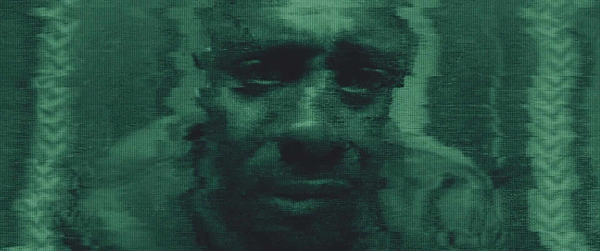 STB-02954.jpg