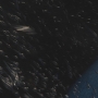 STB-02663.jpg