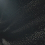 STB-02703.jpg