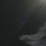 STB-02708.jpg