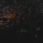 STB-02719.jpg