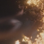 STB-02737.jpg