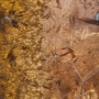 STB-02746.jpg