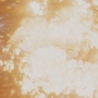 STB-02749.jpg