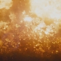 STB-02755.jpg