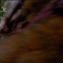Filename=SW6-02909.jpg
Filesize=254KiB
Dimensions=1920x824
Date added=Oct 24, 2021 SW6-02909.jpg