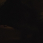 Filename=Solo-02373.jpg
Filesize=49KiB
Dimensions=1920x804
Date added=Oct 24, 2021 Solo-02373.jpg