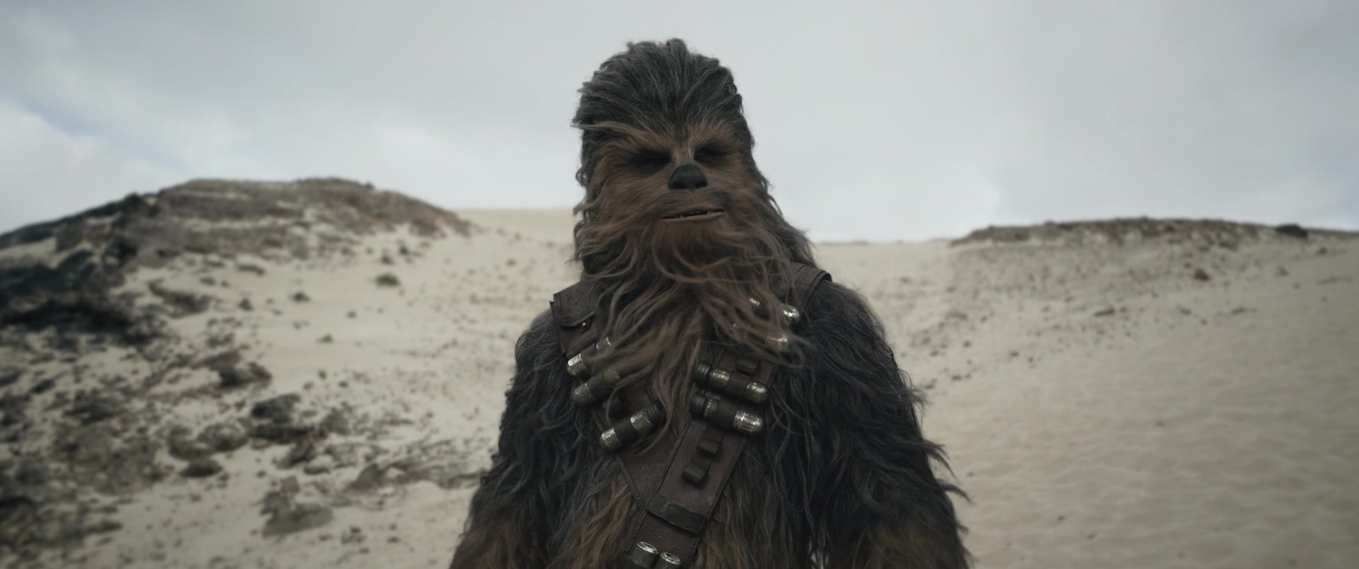 Solo-03561.jpg