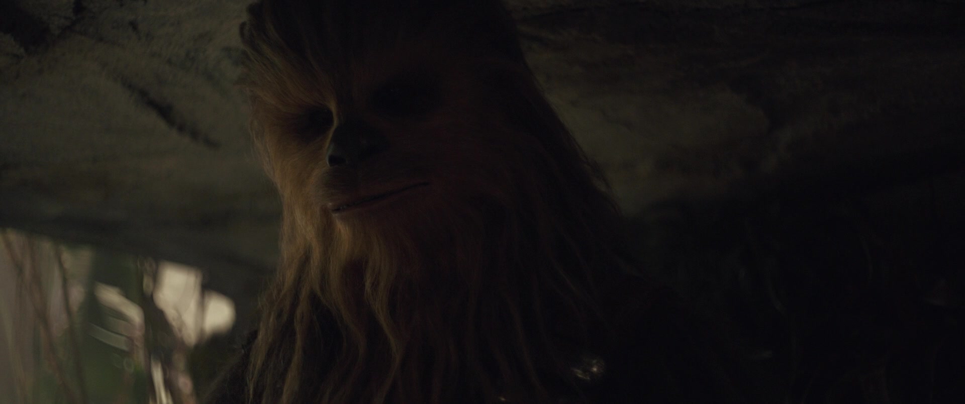 Solo-03695.jpg