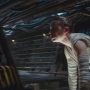 TFA-01336.jpg
