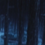 TFA-03437.jpg