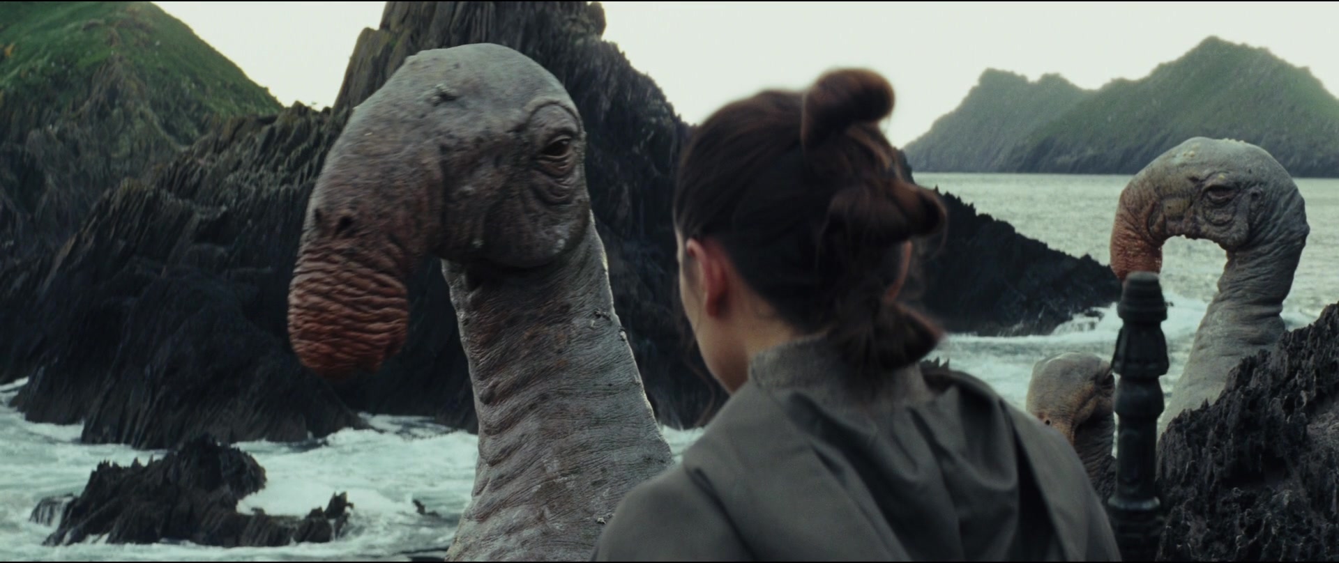 TLJ-00634.jpg
