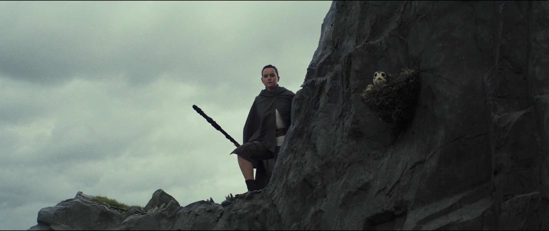 TLJ-00644.jpg