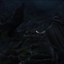 TLJ-02429.jpg