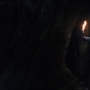 TLJ-02434.jpg