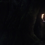 TLJ-02435.jpg