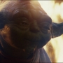 TLJ-02465.jpg