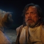 TLJ-02473.jpg